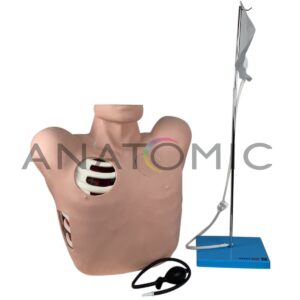 Simulador Torso para Treino de Drenagem Pleural - Tgd-4067