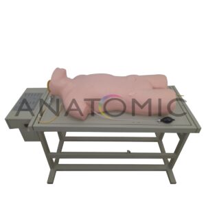 Simulador Avançado para Punção Venosa - Tgd-4026-a