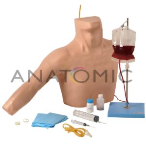 Simulador para Punção Venosa Central (picc Line) e Veia do Braço - Tgd-4069-c