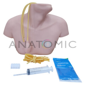 Simulador para Cateterismo Venoso Central - Tgd-4069-b