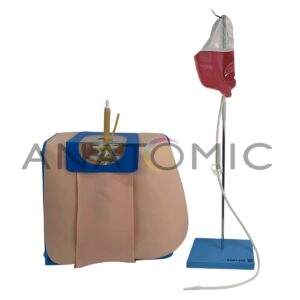 Simulador para Treino de Punção e Infusão Lombar - Tgd-4009-p