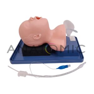 Simulador Bebê, para Treino Intubação Traqueal - Tgd-4007-b