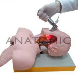 Simulador para Treino de Intubação Traqueal, com Visualização das Vias Aéreas -tgd-4007-a 