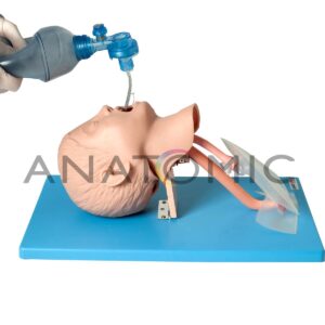 Simulador Infantil, para Treino de Intubação Traqueal - Tgd-4007-d