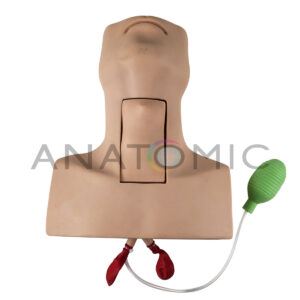 Simulador de Traqueostomia - Tgd-4058