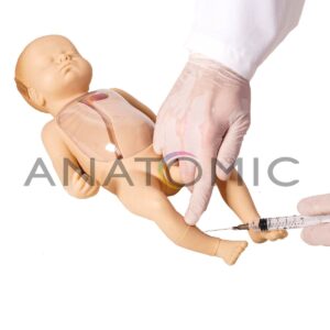 Manequim Neonatal, Avançado, para Punção Venosa Central e Periférica -tgd-4069-d 