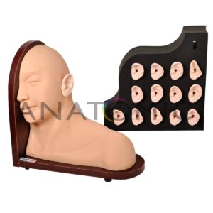 Simulador Avançado de Exame de Ouvido - Tzj-4016 