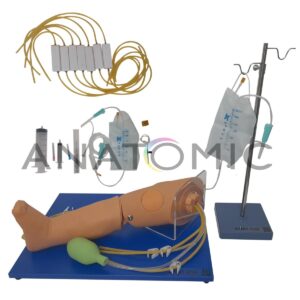 Simulador para Punção Intraóssea Infantil - Tgd-4069-o