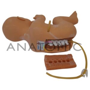 Simulador de Punção Lombar Pediátrico - Tgd-4009-pb