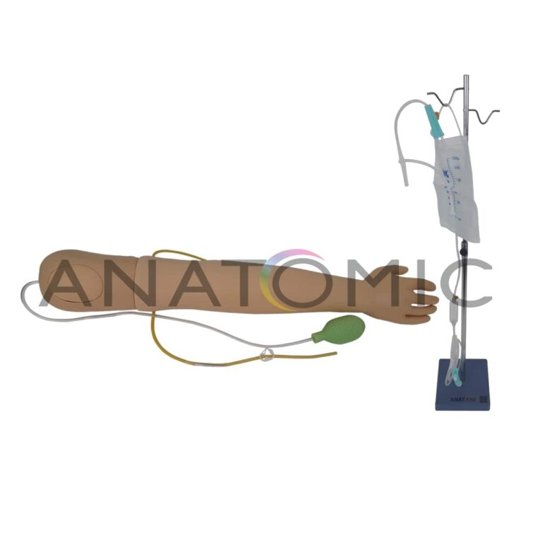 Simulador de Punção Arterial - Tzj-0501-fa