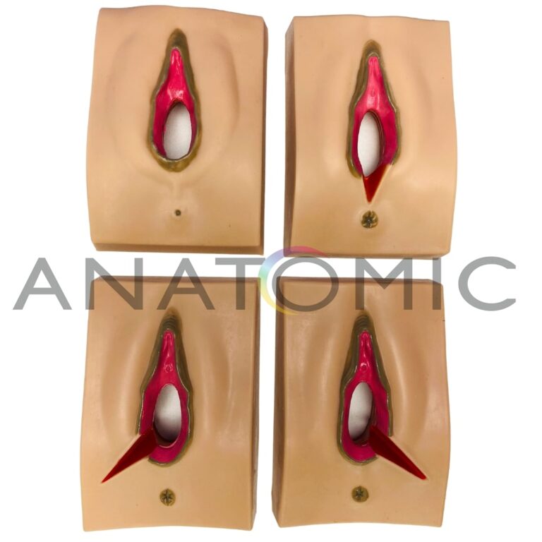 Simulador de Episiotomia 4 Unidade -tys-0374-s 