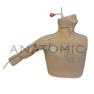 Simulador para Treinamento de Picc, Guiado por Ultrassom - Tys-4069-cu