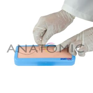 Pele para Treinamento de Sutura, com Cinta para Fixação -tgd-4003-s1