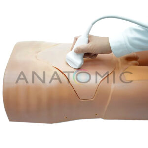 Simulador para Treinamento de Habilidade em Ultrassonografia Abdominal - Tys-4069-ua