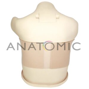 Simulador para Treinamento de Habilidade em Toracocentese Guiada por Ultrassom - Tys-4067-ut