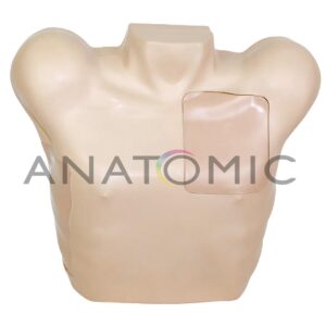 Simulador para Treinamento de Habilidade em Pneumotórax e Drenagem Torácica Guiada por Ultrassomtys-4067-upd