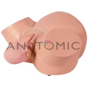 Simulador de Parto Normaltgd-0375-a