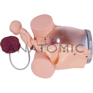 Simulador de Parto com Cervix, Episiotomia e Feto com Placenta - Tgd-0374-e