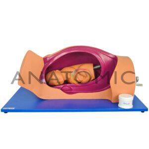 Simulador de Parto Normal com Sistema de Manivela - Tgd-0374