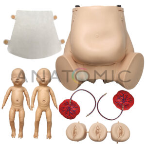 Simulador de Parto Gemelar, com Placenta - Tgd-0374-g