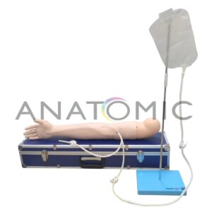 Braço para Treino de Injeção em Músculo Deltoide e Veias - Tzj-0501-a