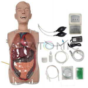 Simulador Torso, Transparente, para Treinamento de Sonda Gástrica - Tgd-4080