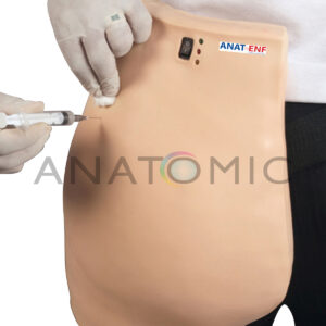 Simulador para Treino de Injeção Intramuscular, no Glúteo, com Dispositivo de Advertência - Tgd-4009-s