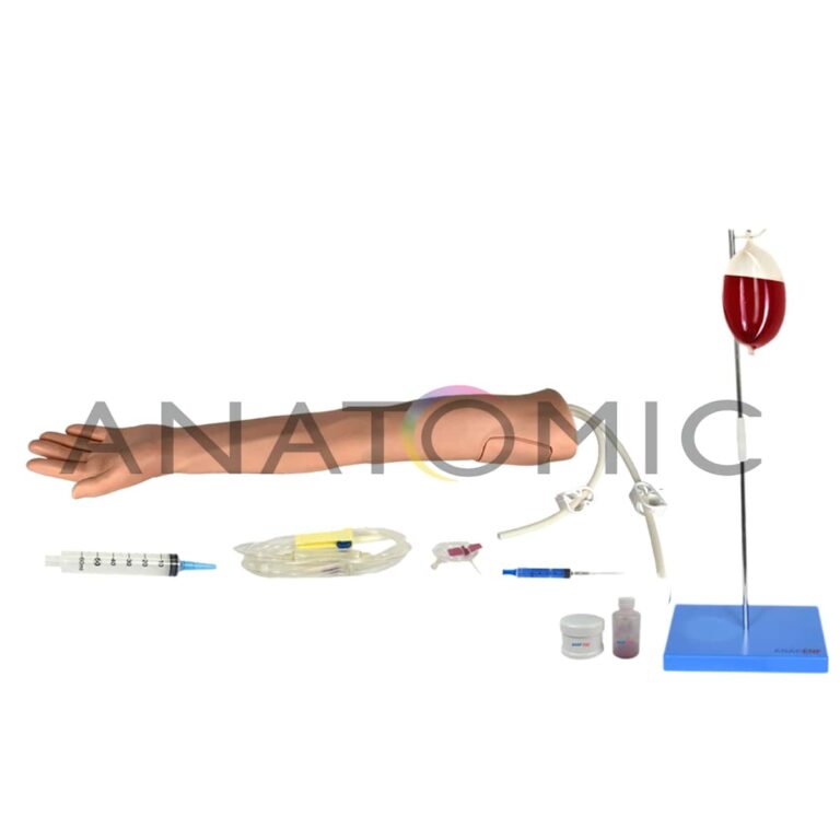 Braço para Treino de Injeção -tzj-0501