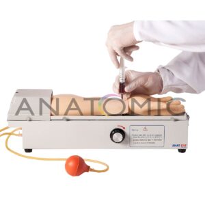 Braço para Treino de Punção em Artéria Radial Rotativo - Tzj-0501-f