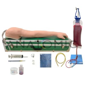 Braço Luxo para Punção Venosa, Injeção Intramuscular Deltóide, Injeção Subcutânea e Injeção Intradérmica - Tzj-0501-v