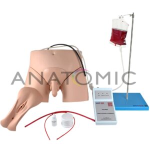 Simulador de Cateterismo Vesical e Lavagem Intestinal, Bissexual, com Dispositivo de Controle - Tgd-4008-s