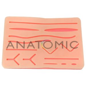 Pele para Treinamento de Sutura - Tgd-4003-s