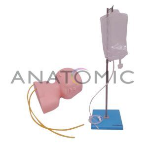 Cabeça Pediátrica para Treino de Punção Venosa - Tgd-4006-b