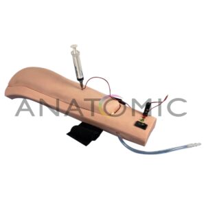 Braço Simulador para Treino de Injeção Intramuscular e Hipodérmica com Dispositivo de Advertência -tzj-4009-d