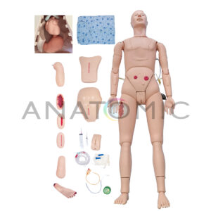 Manequim Bissexual para Treino Avançado de Enfermagem - Tzj-0502-a