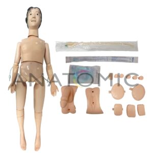 Manequim Bissexual Básico para Treino de Enfermagem e Rcp -tzj-0502-sr