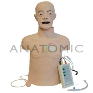 Simulador, Torso Geriátrico para Treino de Rcp e Intubação Orotraqueal -tgd-4005-gi