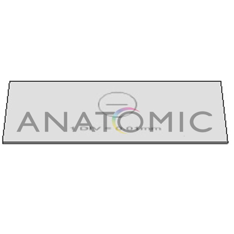 Lâmina Padrão 1mm / 100 Divisões - Ta-0183