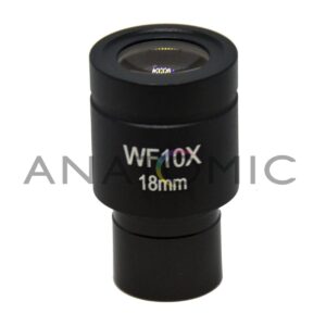 Ocular de 10x (18mm) para Biológico - Ta-0230