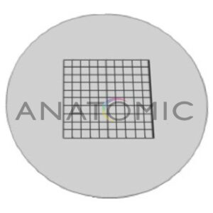 Retículo Quadriculado 10mm / 100 Divisões - Ta-0262