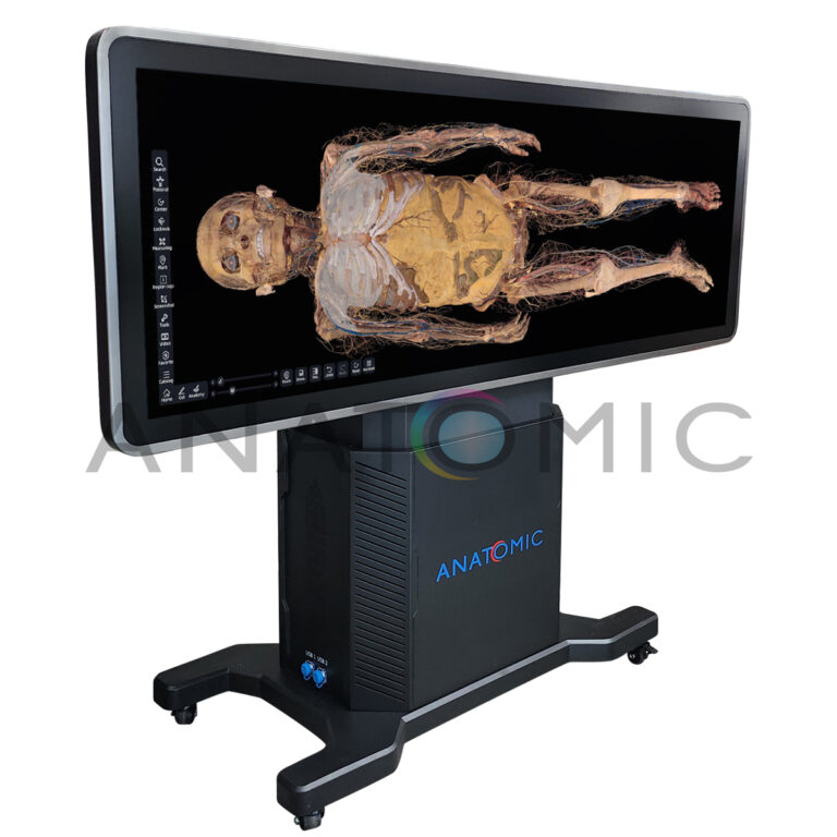 Mesa de Anatomia para Dissecção Virtual Humana e Animal Anatomic – Modelo Atdh-88t